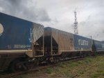 RUMO HPT-033443-0